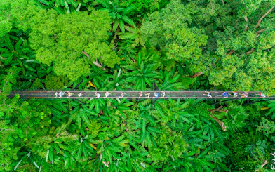 Aerial view of tourists on a canopy walkway in Hanuman World, Phuket.