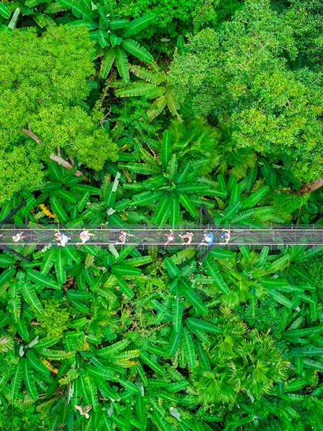 Aerial view of tourists on a canopy walkway in Hanuman World, Phuket.