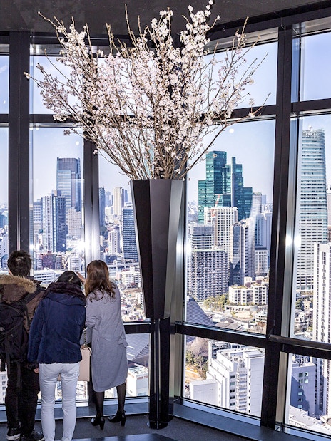 Visitors enjoying Tokyo skyline view from Tokyo Tower's main deck.
