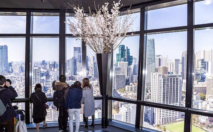 Visitors enjoying Tokyo skyline view from Tokyo Tower's main deck.