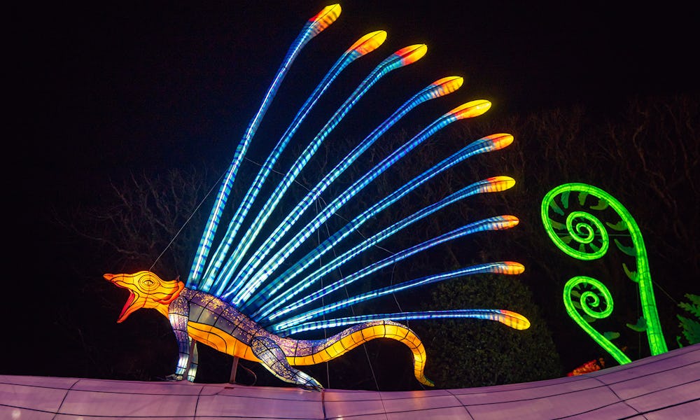 Christmas in Paris - Jardin des Plantes christmas paris