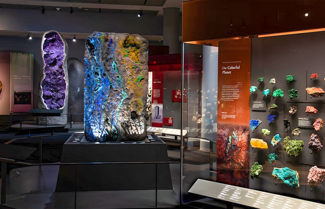 Tourists exploring inside American Museum of Natural History