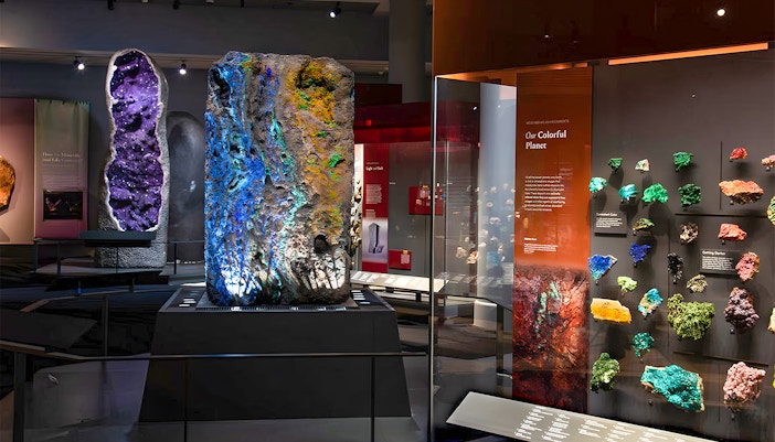 Tourists exploring inside American Museum of Natural History