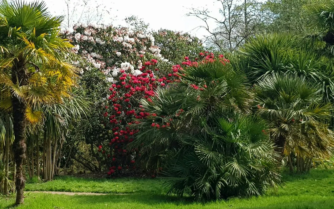 Bushy Park greenery with blooming red and white flowers, London exploration game.