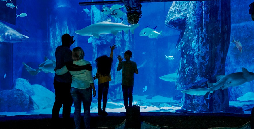 SEA LIFE London Aquarium