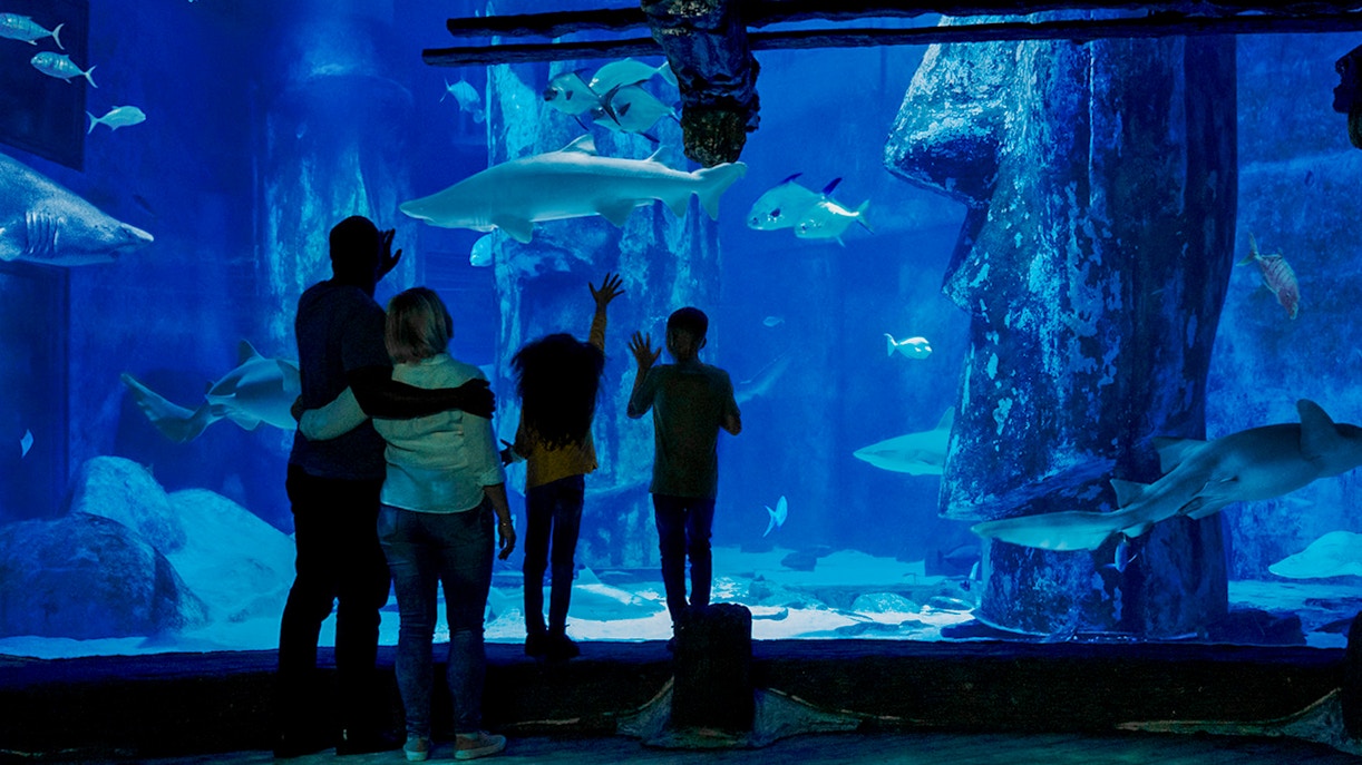 sea life london aquarium tickets