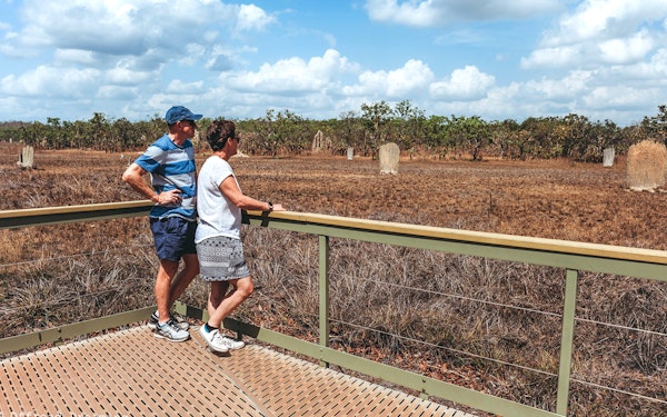 From Darwin: Litchfield & Waterfalls Tour with Transfers