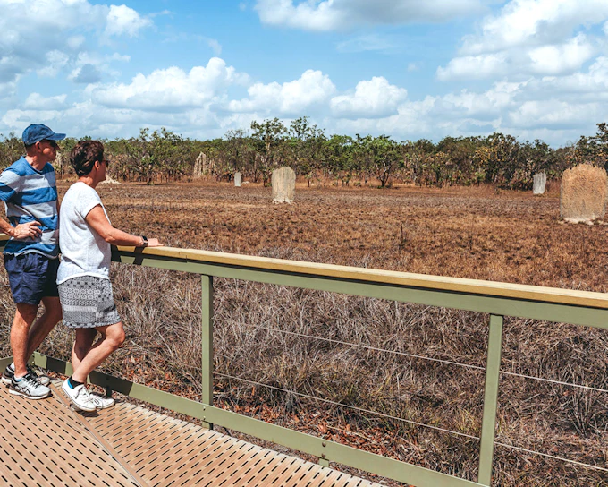 From Darwin: Litchfield & Waterfalls Tour with Transfers