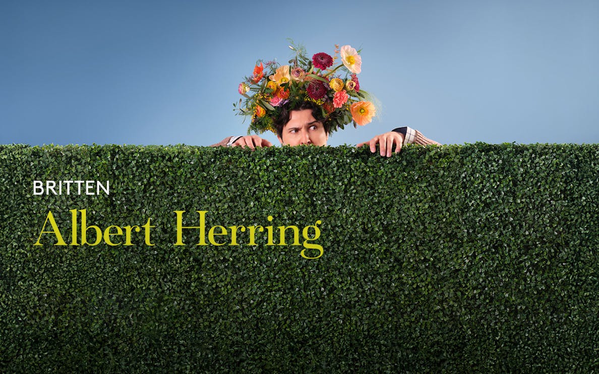 Person with floral headpiece peeking over a hedge, related to Albert Herring.