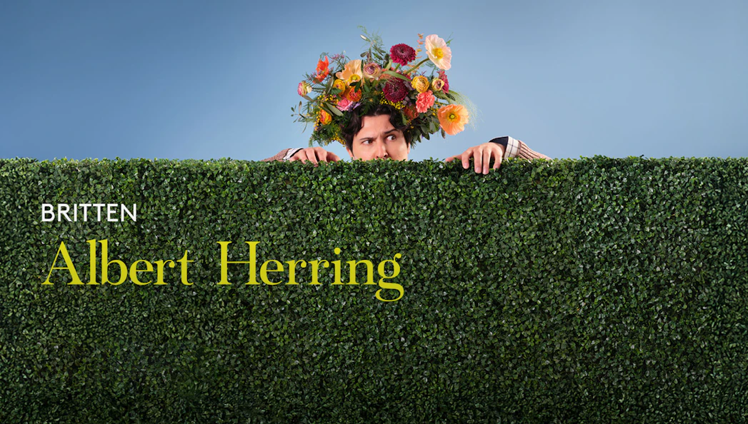 Person with floral headpiece peeking over a hedge, related to Albert Herring.