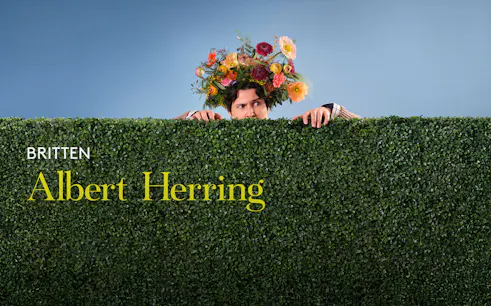 Person with floral headpiece peeking over a hedge, related to Albert Herring.