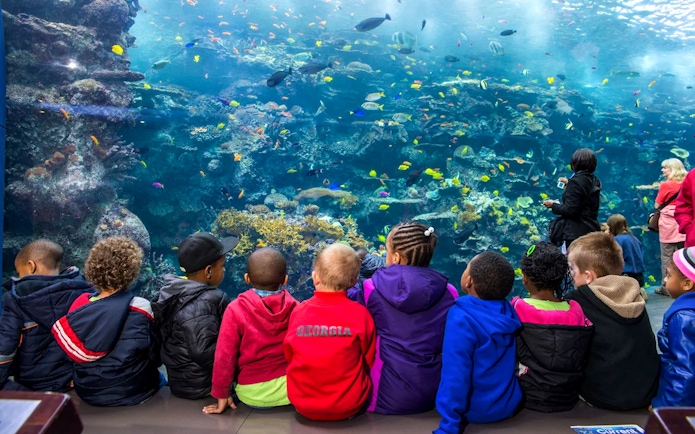 Children observing coral reefs and fish at Georgia Aquarium.