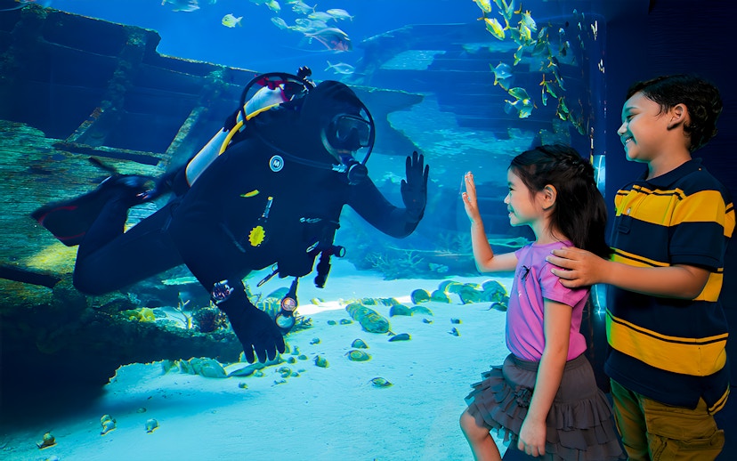 Diver interacting with children through glass at S.E.A Aquarium Singapore.
