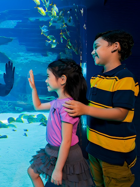 Diver interacting with children through glass at S.E.A Aquarium Singapore.