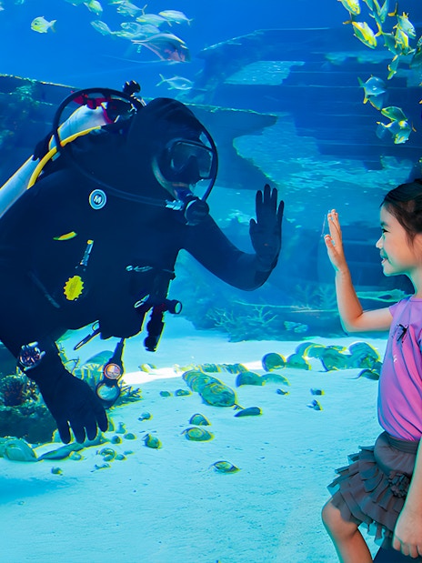Diver interacting with children through glass at S.E.A Aquarium Singapore.