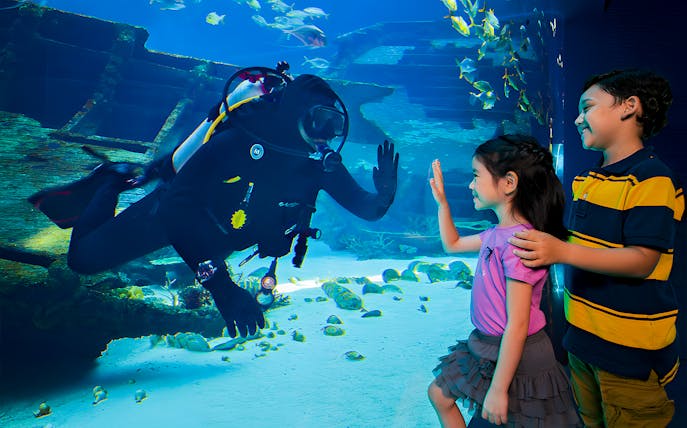 Diver interacting with children through glass at S.E.A Aquarium Singapore.