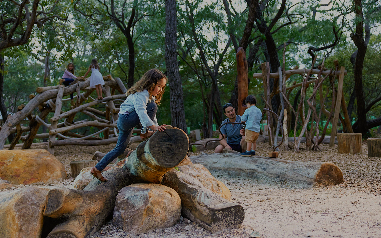 Forest walks & surrounding trails
