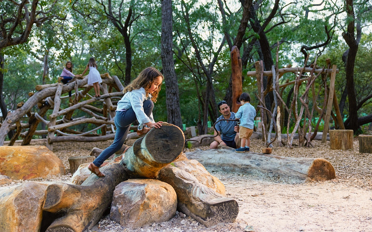 Children playing on wooden structures in a forest setting, Ngilgi Cave Ancient Lands Experience.