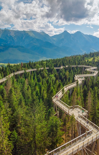Treetop walkway in Slovakia with mountain views near Morskie Oko Lake.