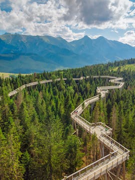 Morskie Oko Lake & Slovakia Treetop
