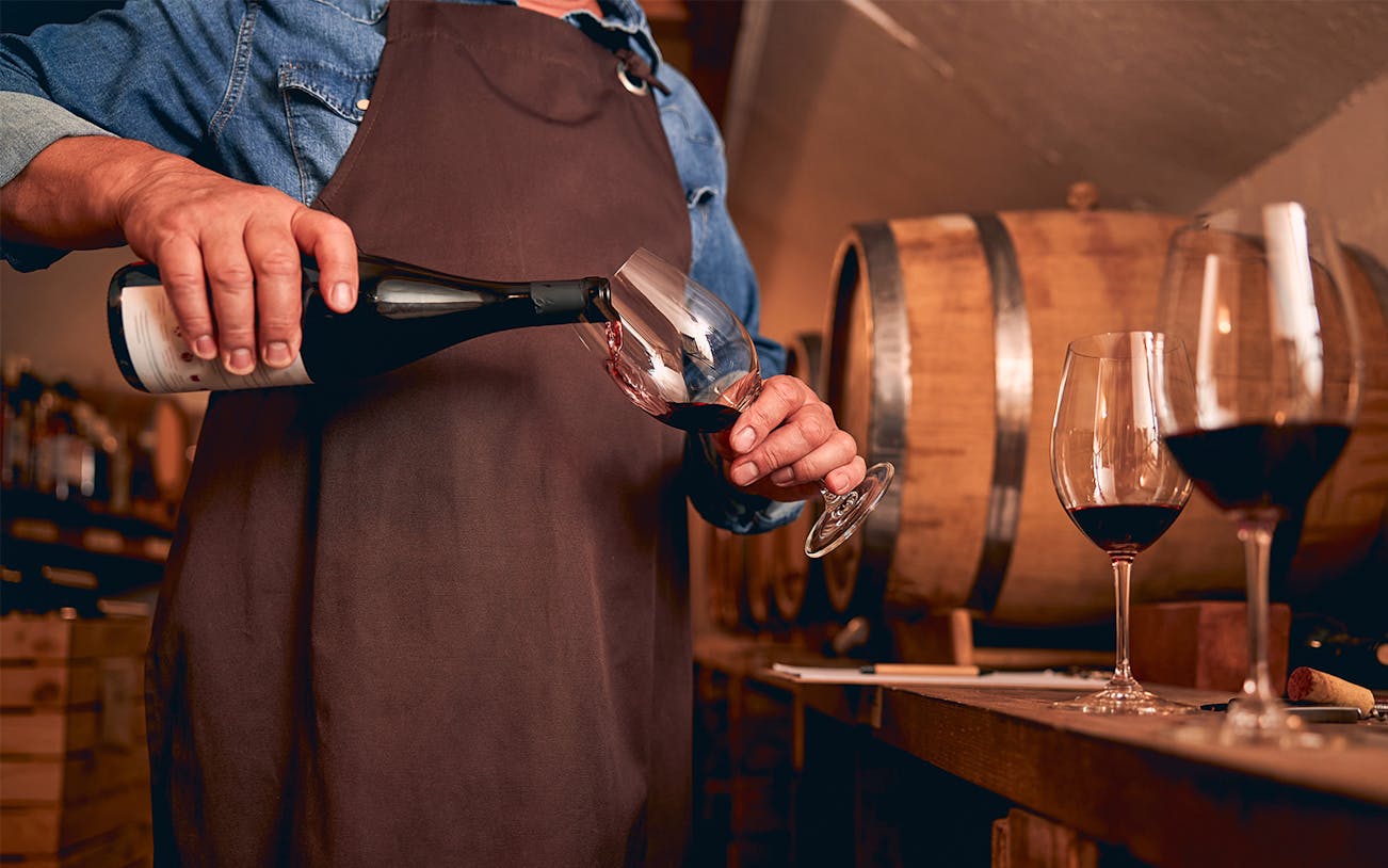 Bartender pouring red wine into a glass in a wine cellar.