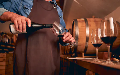 Bartender pouring red wine into a glass in a wine cellar.