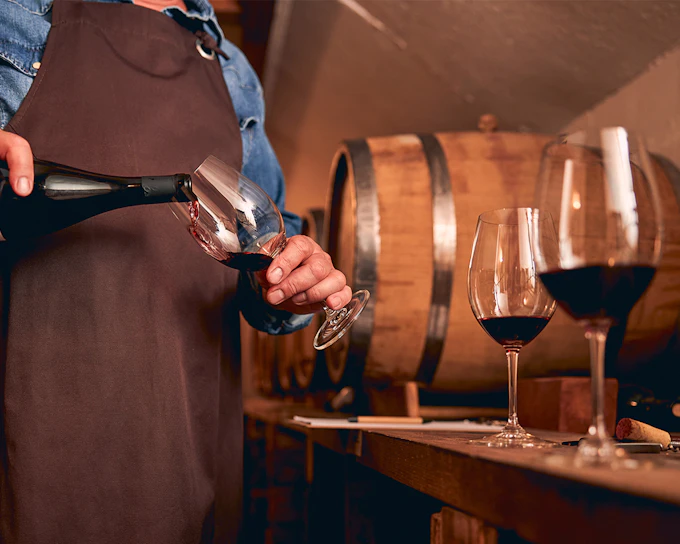 VIP Semi-Private Super Tuscan Wine Tour with a Masterclass by a Wine Expert