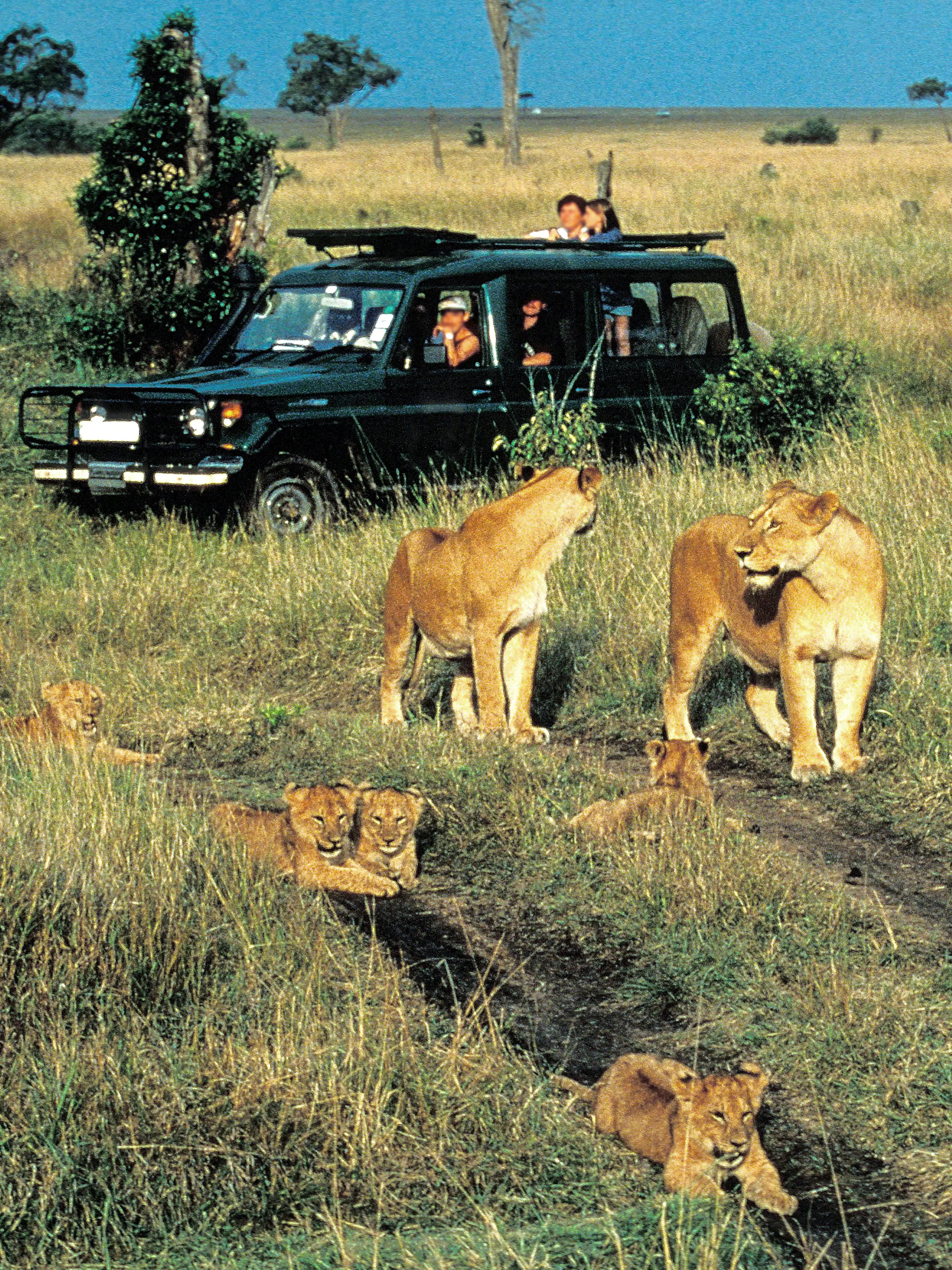 Excursión de un día a Masai Mara