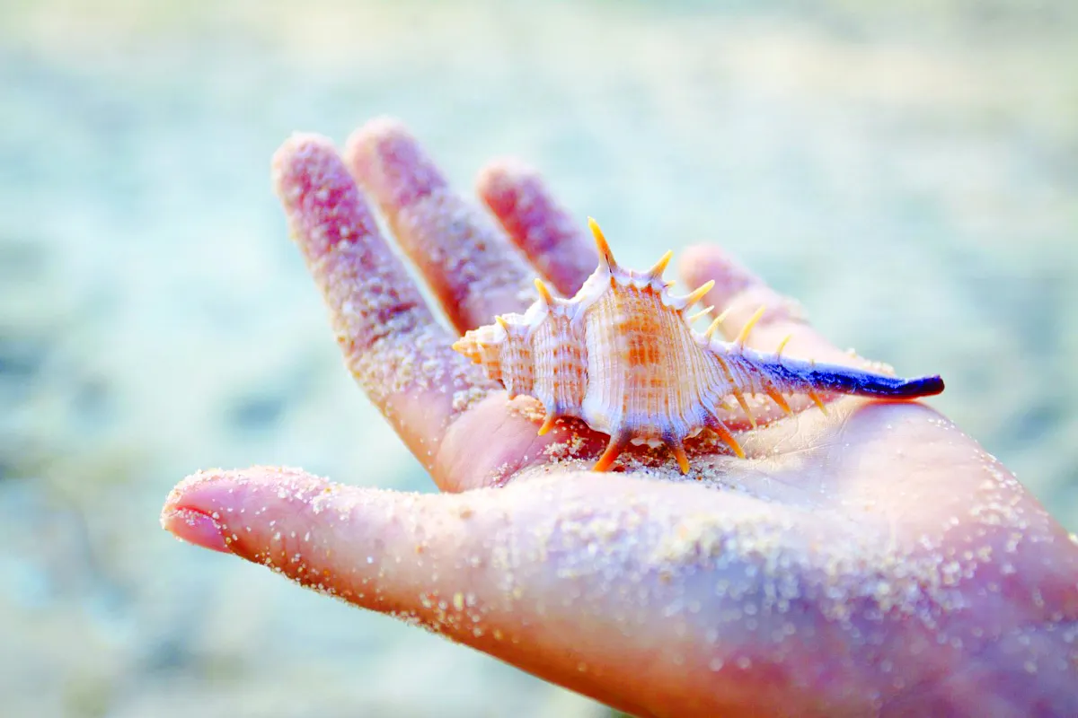 Mauritius Private Nature Tour with World of Seashells Museum and Lunch