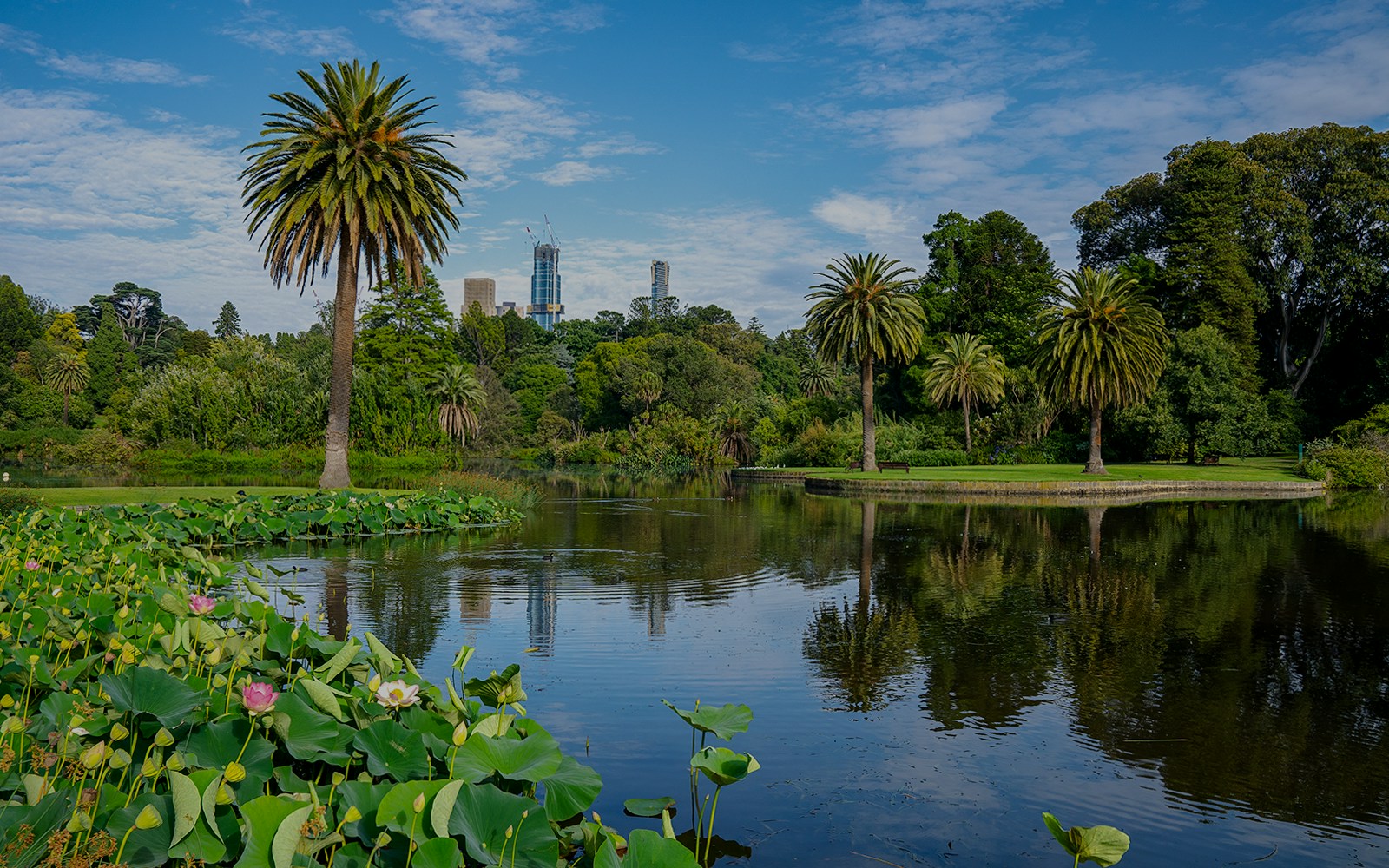 Royal Botanic Gardens in Melbourne, Victoria, Australia