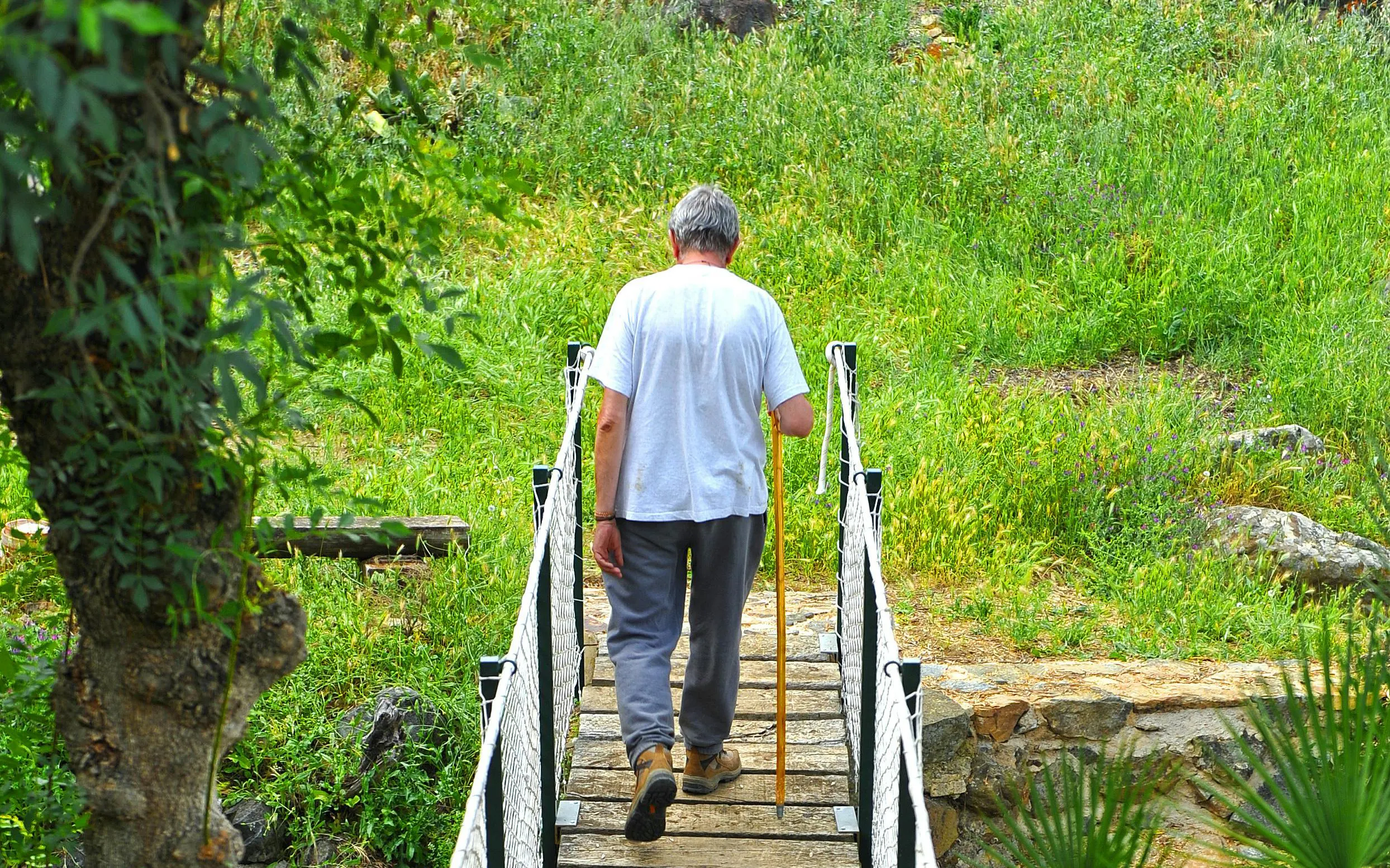 Pasarela Río Pas