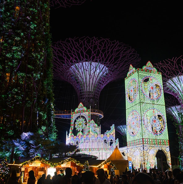 Visit the Gardens by the Bay during Christmas for a spectacular show of lights!