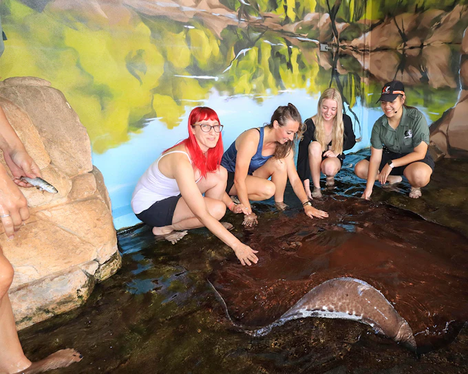 Crocosaurus Cove Tickets with Whipray Encounter