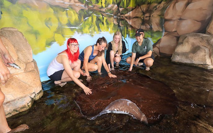 Visitors interacting with a whipray at Crocosaurus Cove.
