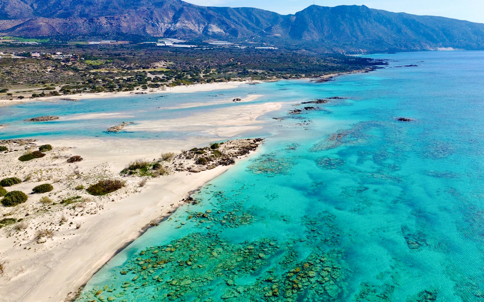 From Chania: Elafonisi Pink Sand Beach Day Trip with Honey Tasting and Elos Village Stop