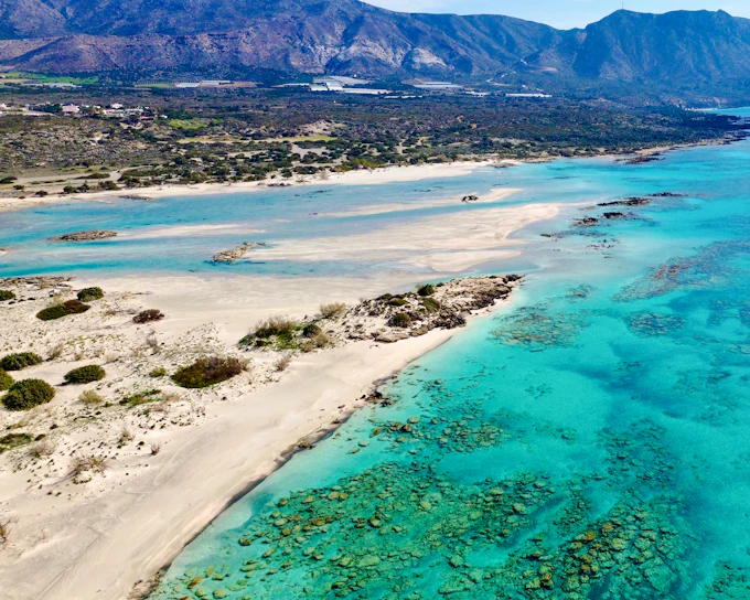 From Chania: Elafonisi Pink Sand Beach Day Trip with Honey Tasting and Elos Village Stop