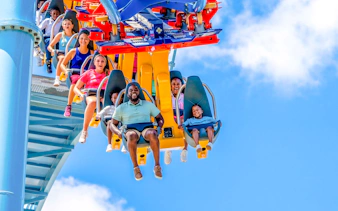 Visitors enjoying a roller coaster ride at Busch Gardens Tampa.