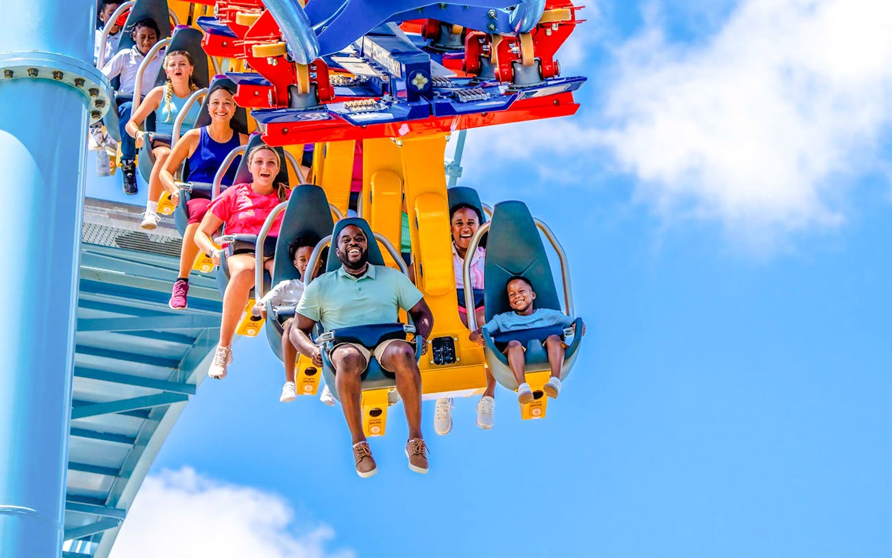 Visitors enjoying a roller coaster ride at Busch Gardens Tampa.