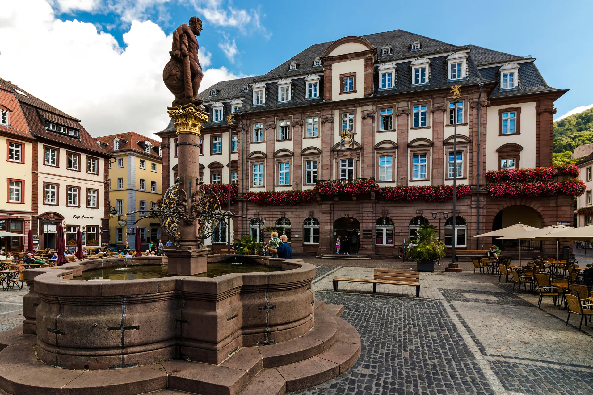 Heidelberg Old Town Private Walking Tour with Castle Entry
