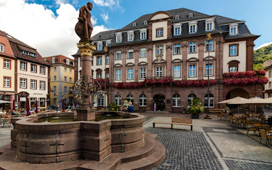 Heidelberg Old Town Private Walking Tour with Castle Entry
