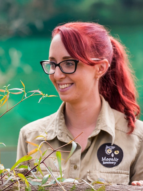 Koala with animal handler at Moonlit Sanctuary, part of Phillip Island Tour.
