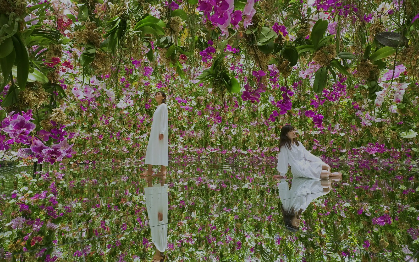 Flower Field, teamLabs