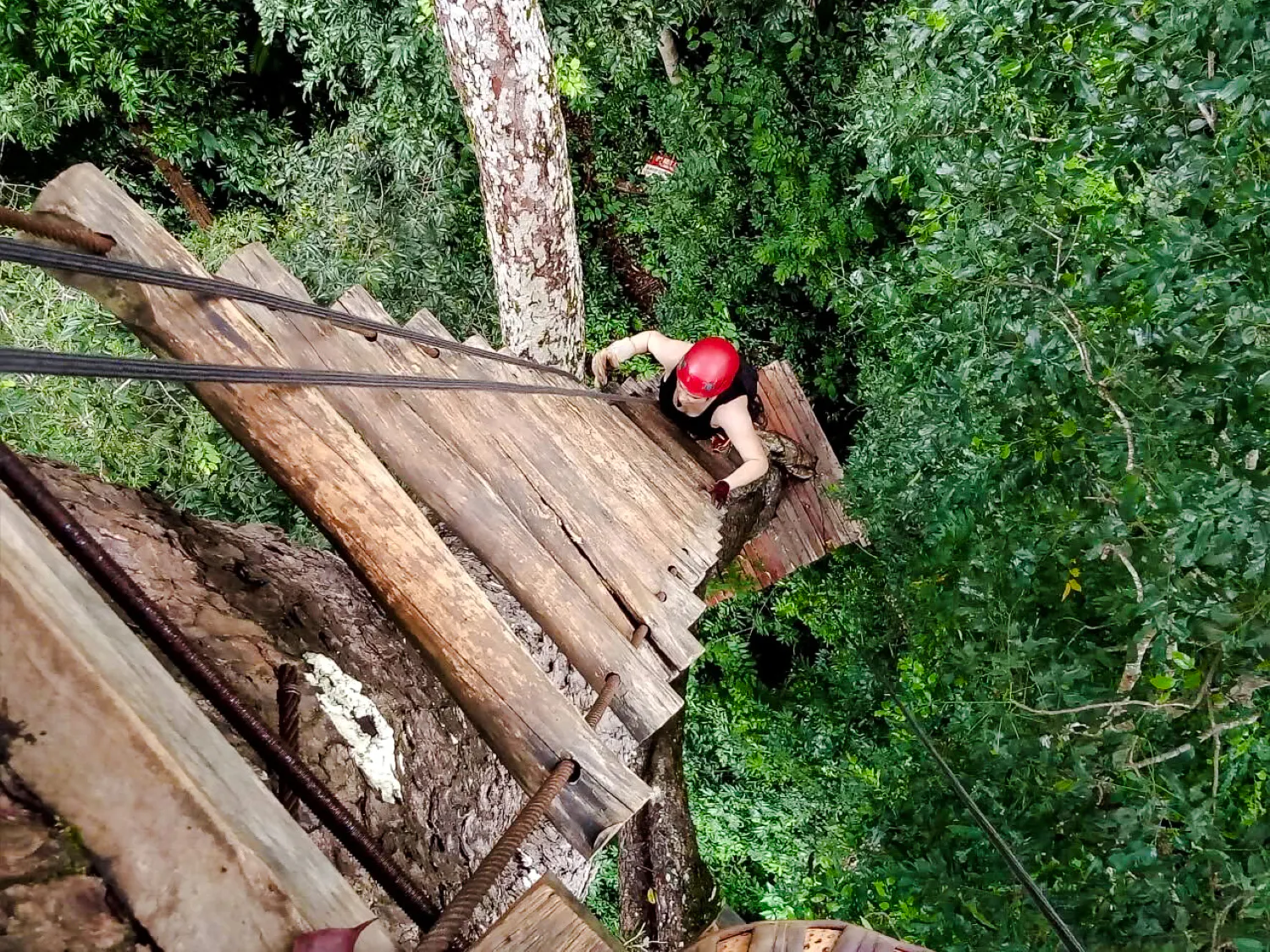 Person climbing wooden platform in treetops during zipline adventure in Krabi.