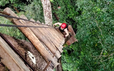Person climbing wooden platform in treetops during zipline adventure in Krabi.