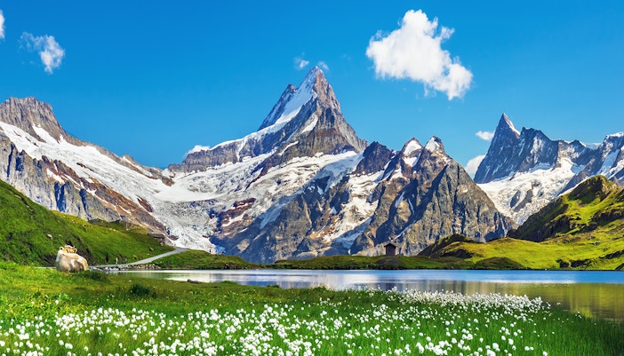 Schynige Platte Tickets