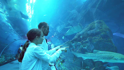 Dubai Aquarium