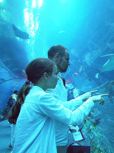 Visitors observing sharks and rays at Dubai Aquarium & Underwater Zoo.