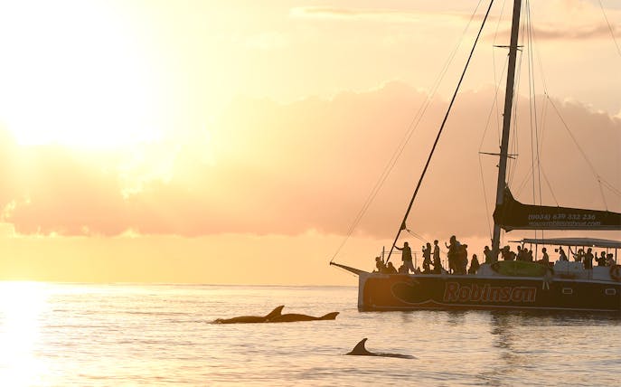 Catamaran with tourists watching dolphins at sunrise in Mallorca.