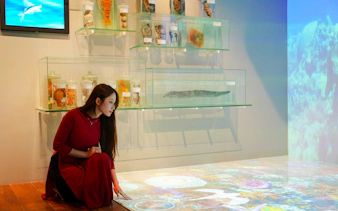 da nang culture guided tour: history museum, local café and michelin lunch-2