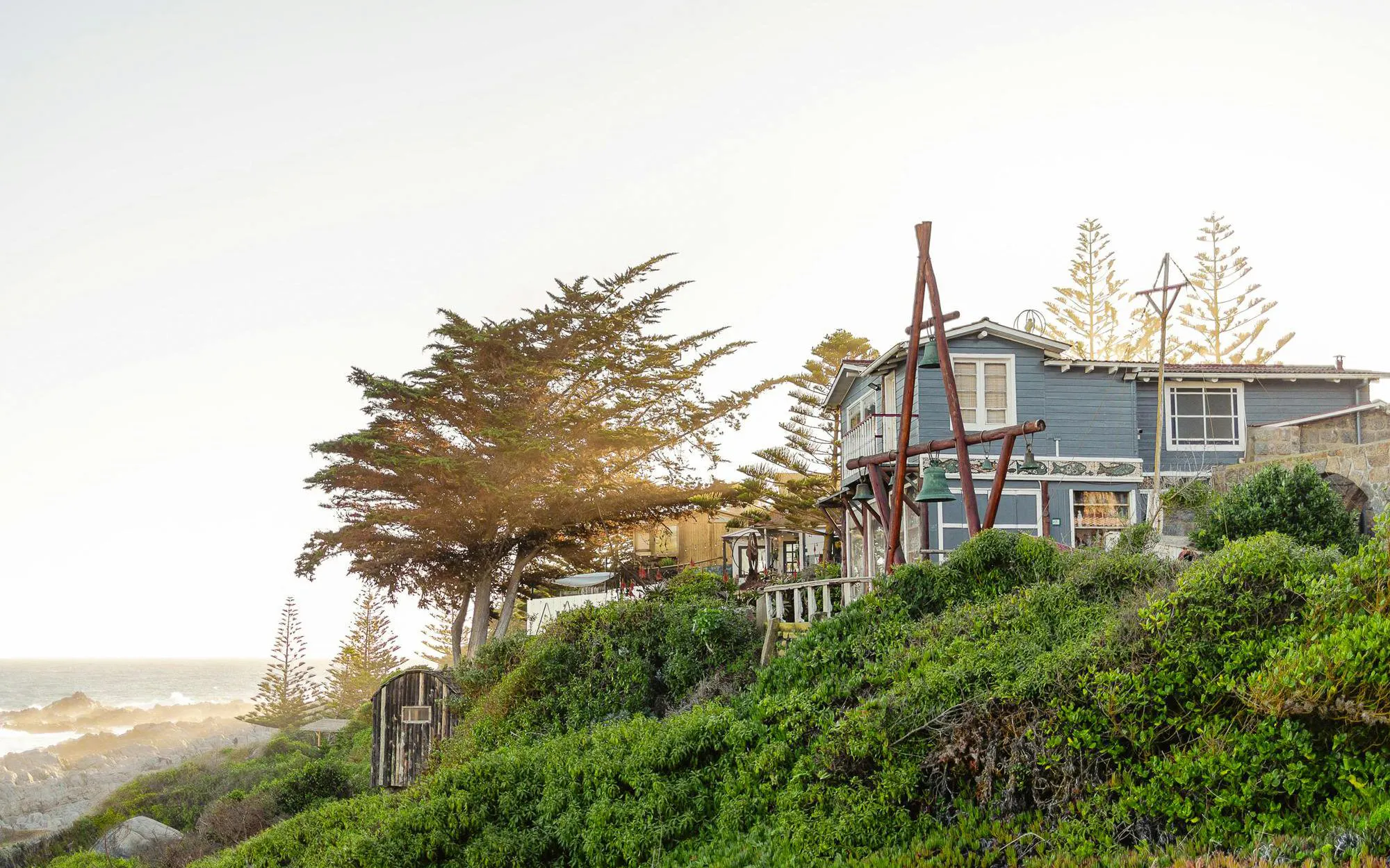 Isla Negra, Algarrobo & Casablanca Wine Valley Day Tour Image 10